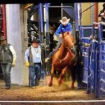 Donna Kay Rule Barrel Racing Obituary – Donna Kay Rule Death – Professional Barrel Racer Donna Kay Rule Dies in Fatal Accident in Alley Way at NFR