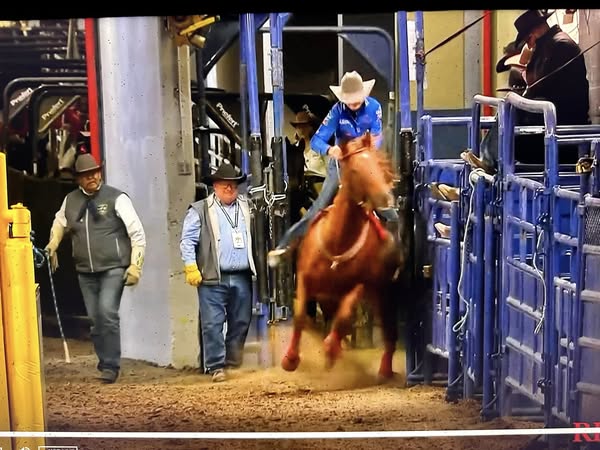 Donna Kay Rule Barrel Racing Obituary – Donna Kay Rule Death – Professional Barrel Racer Donna Kay Rule Dies in Fatal Accident in Alley Way at NFR