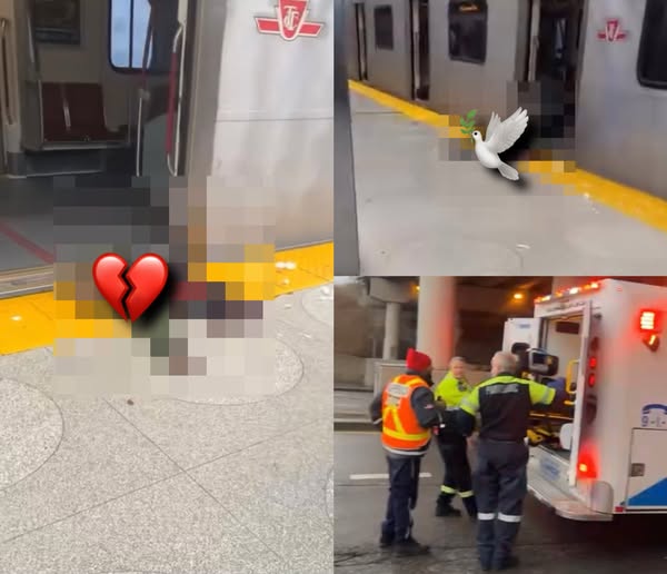 Yorkdale Station Suicide Incident: Man sliced in half by the train, Line 1 shut down